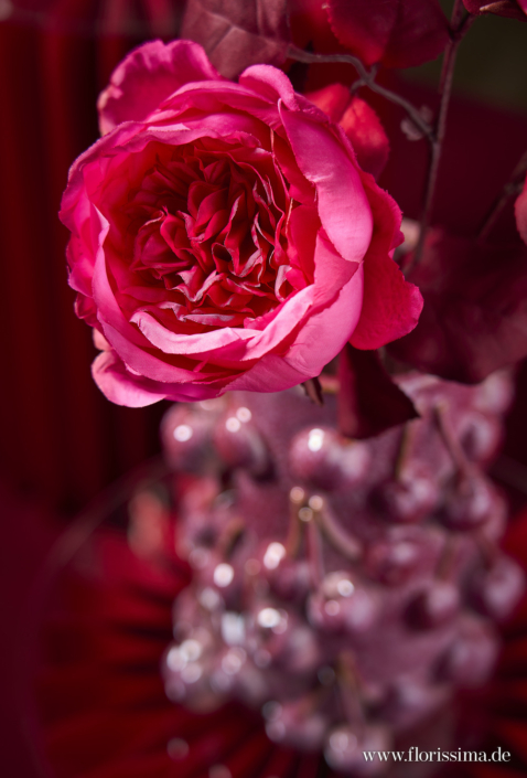 FLO_HW25_AMBI_RED-GLOW_26