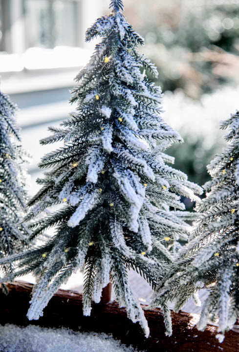 mini tree